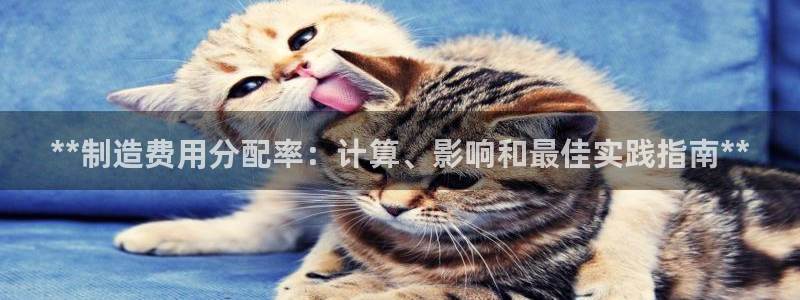 彩神v8购彩大厅登：**制造费用分配率：计算、影响和最佳实践