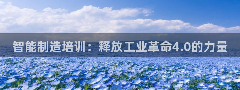 彩神ix官网是哪个公司的