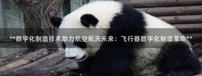 彩神v争霸是啥：**数字化制造技术助力航空航天未来：飞行器数字化制造革命**