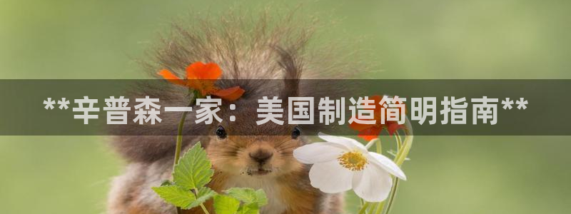 彩神iv争霸购彩大厅