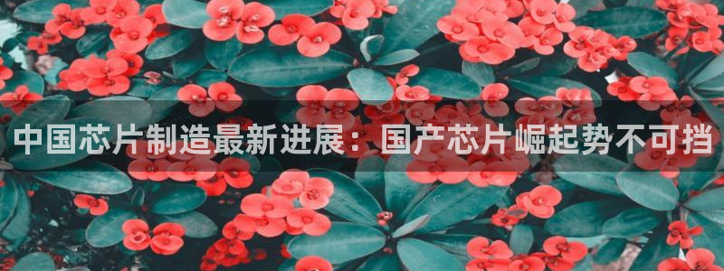 彩神是正规平台吗知乎：中国芯片制造最新进展：国产芯片崛起势不可挡