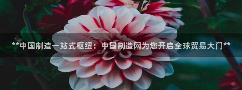 彩神旗下有哪些平台可以玩