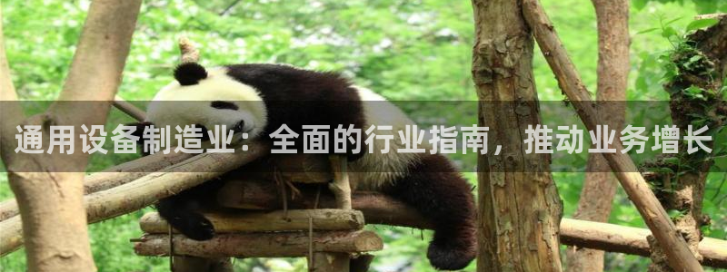 彩神vlll官网网上购彩：通用设备制造业：全面的行业指南，推