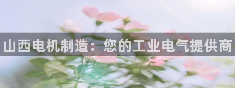 彩神vlll官方网：山西电机制造：您的工业电气提供商