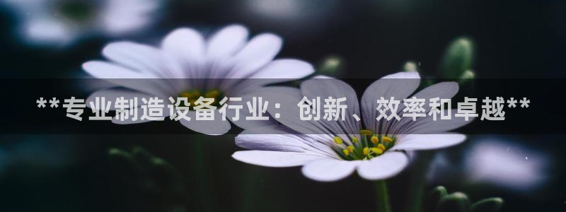 彩神是什么平台的游戏：**专业制造设备行业：创新、效率和卓越
