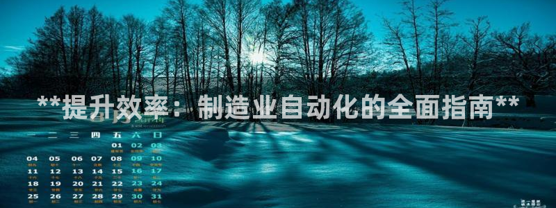 彩神ix官网：**提升效率：制造业自动化的全面指南**