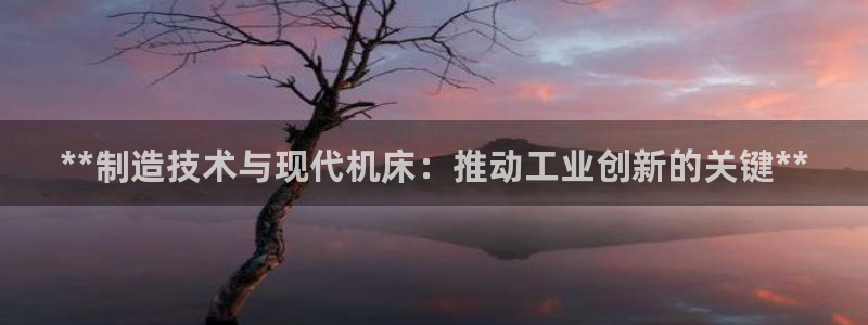 彩神赢的钱是哪里来的：**制造技术与现代机床：推动工业创新的关键**