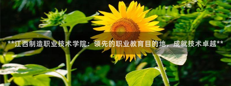 彩神V8有限公司：**江西制造职业技术学院：领先的职业教育目的地，成就技术卓越**