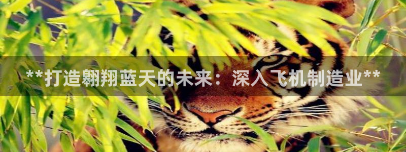 彩神8是正规平台吗知乎