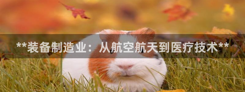 彩神v8首页：**装备制造业：从航空航天到医疗技术**