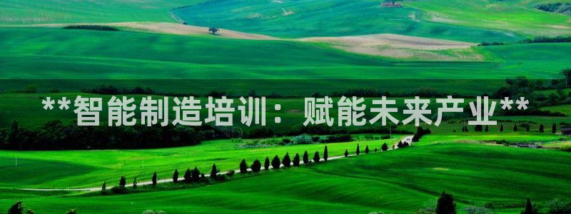 彩神vllⅰ购彩大厅：**智能制造培训：赋能未来产业**