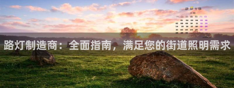 彩神数码科技有限公司：路灯制造商：全面指南，满足您的街道照明需求
