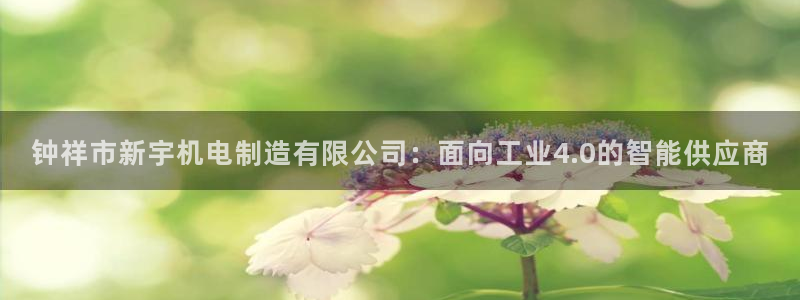 彩神8彩平台：钟祥市新宇机电制造有限公司：面向工业4.0的智能供应商