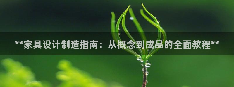 彩神网官网登录：**家具设计制造指南：从概念到成品的全面教程**