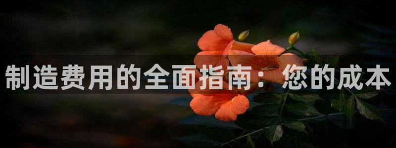 彩神x平台靠什么盈利：制造费用的全面指南：您的成本