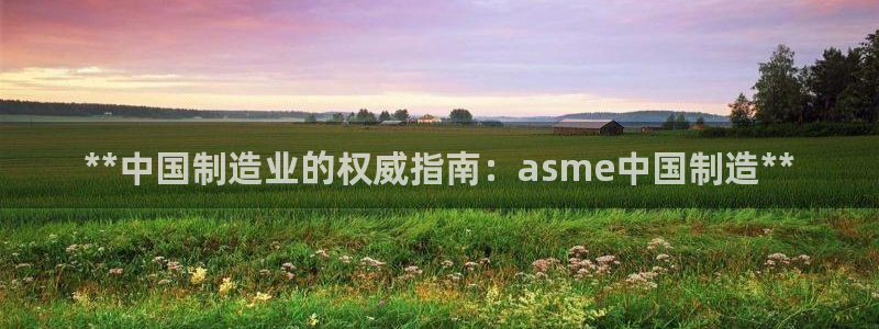 彩神官方登录：**中国制造业的权威指南：asme中国制造**