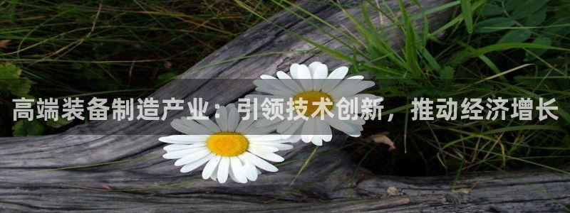 下载彩神争霸谁与我争锋：高端装备制造产业：引领技术创新，推动