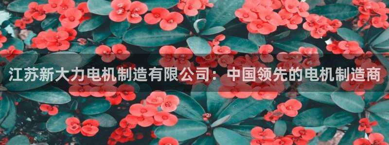 彩神数码科技有限公司