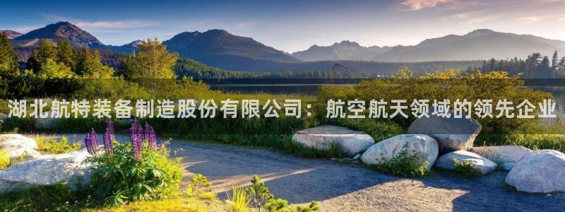 天天彩神welcome：湖北航特装备制造股份有限公司：航空航天领域的领先企业