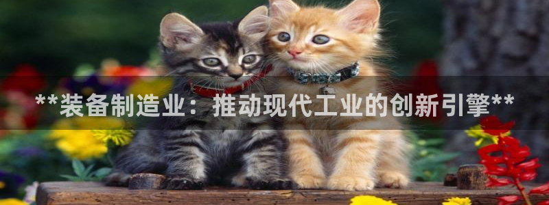 彩神是什么平台：**装备制造业：推动现代工业的创新引擎**