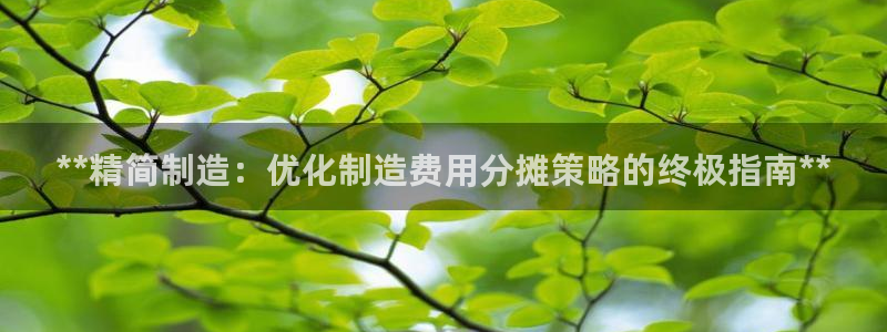 彩神v8是一个什么平台啊：**精简制造：优化制造费用分摊策略的终极指南**