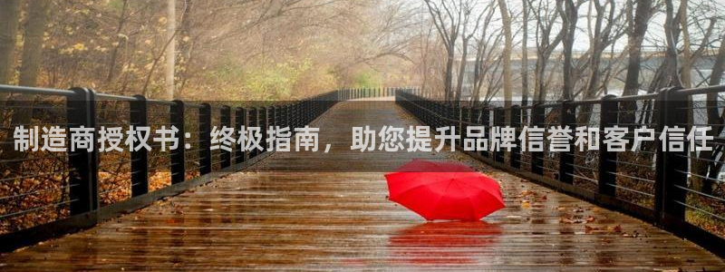 彩神v争霸是啥：制造商授权书：终极指南，助您提升品牌信誉和客户信任