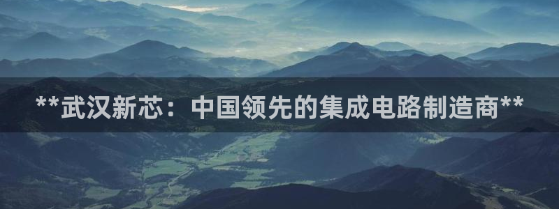 彩神v争霸是啥：**武汉新芯：中国领先的集成电路制造商**