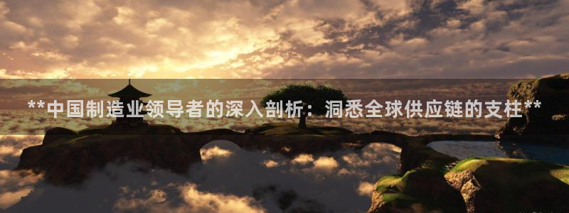 彩神新微聊：**中国制造业领导者的深入剖析：洞悉全球供应链的支柱**