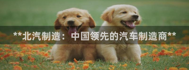 天天彩神welcome：**北汽制造：中国领先的汽车制造商**
