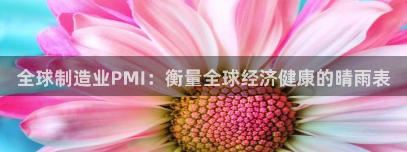 彩神正规吗：全球制造业PMI：衡量全球经济健康的晴雨表