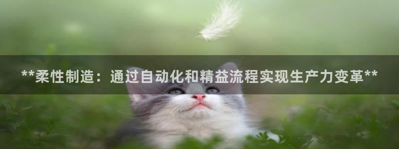 彩神v集团有限公司：**柔性制造：通过自动化和精益流程实现生产力变革**