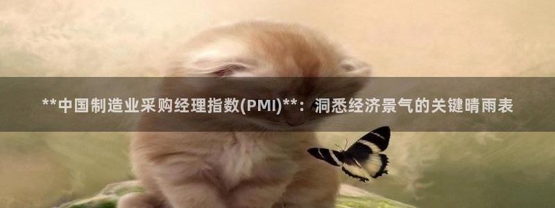 彩神官方登录：**中国制造业采购经理指数(PMI)**：洞悉经济景气的关键晴雨表