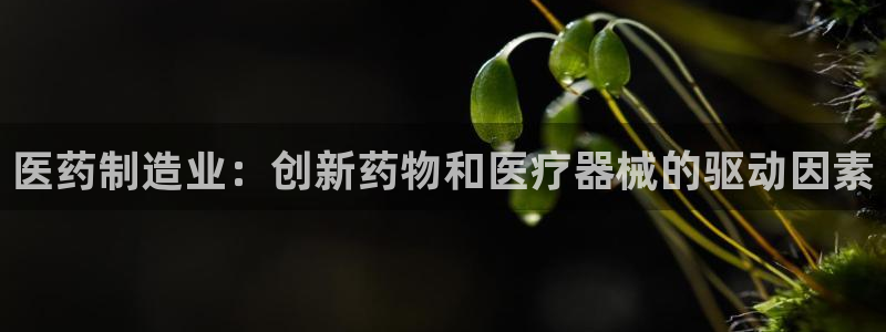 彩神8官网下：医药制造业：创新药物和医疗器械的驱动因素