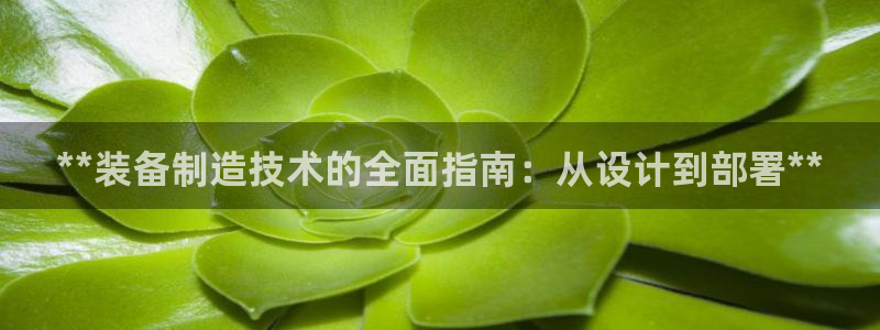 彩神购彩-购彩大厅入口下载：**装备制造技术的全面指南：从设计到部署**
