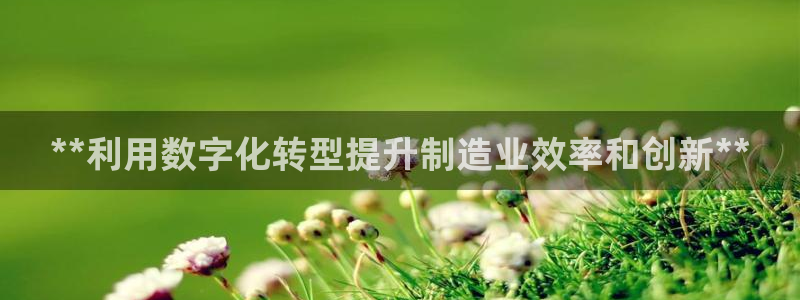 彩神VII官方版：**利用数字化转型提升制造业效率和创新**