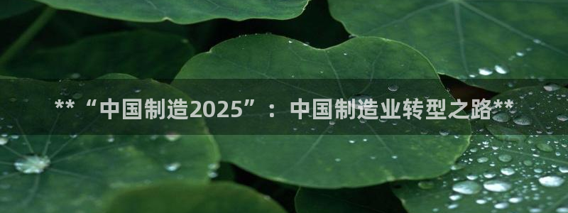 彩神赢钱了吗知乎