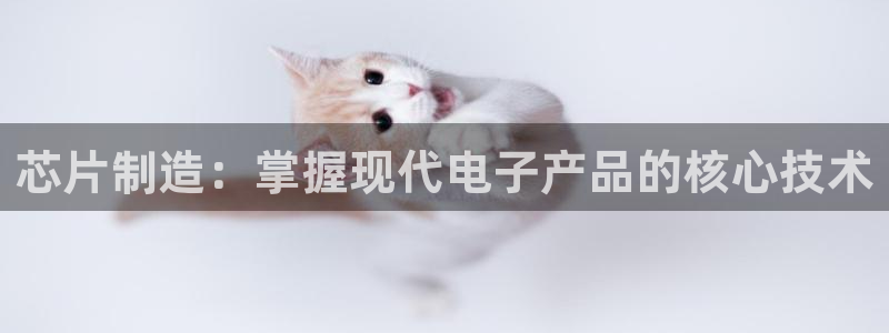 v大发彩神8iii：芯片制造：掌握现代电子产品的核心技术