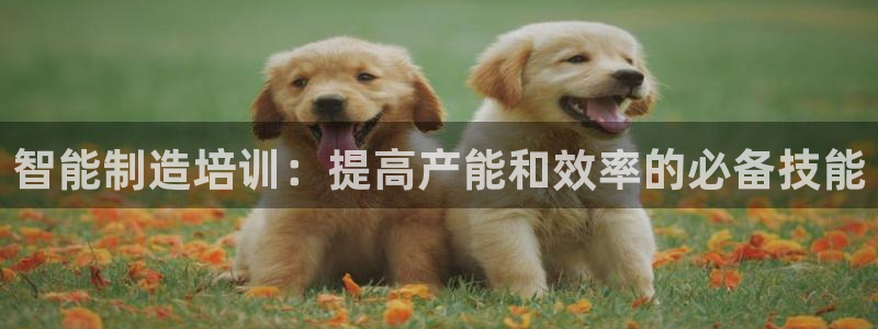 彩神viii是正规平台吗?