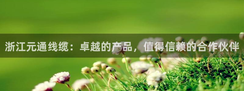 彩神是真的吗