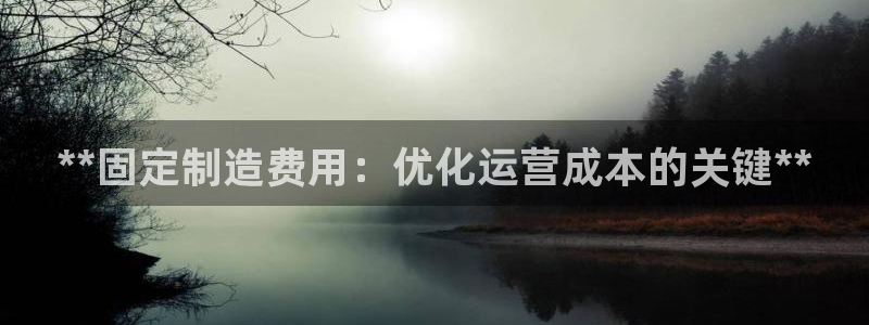 彩神vll官网在线登录：**固定制造费用：优化运营成本的关键**