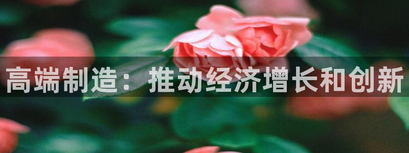 彩神viii官网：高端制造：推动经济增长和创新