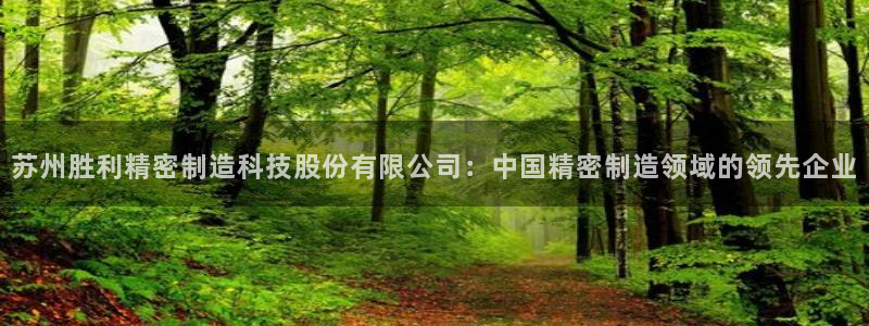 彩神vi官网版：苏州胜利精密制造科技股份有限公司：中国精密制造领域的领先企业