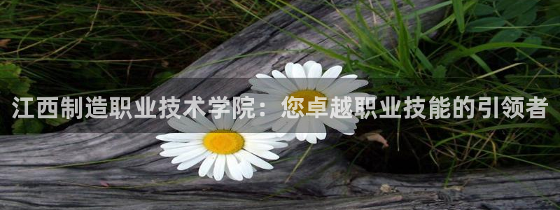 彩神8是正规平台吗是正品吗：江西制造职业技术学院：您卓越职业技能的引领者