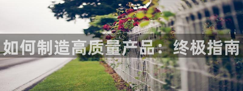 彩神ll能赚钱吗：如何制造高质量产品：终极指南