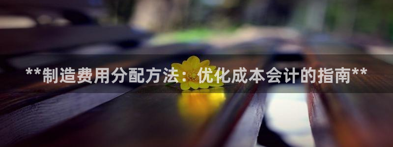 彩神平台注册登录：**制造费用分配方法：优化成本会计的指南**