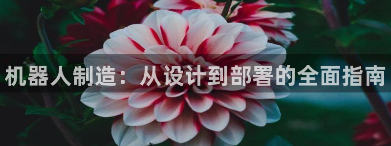 彩神8购彩-购彩大厅：机器人制造：从设计到部署的全面指南