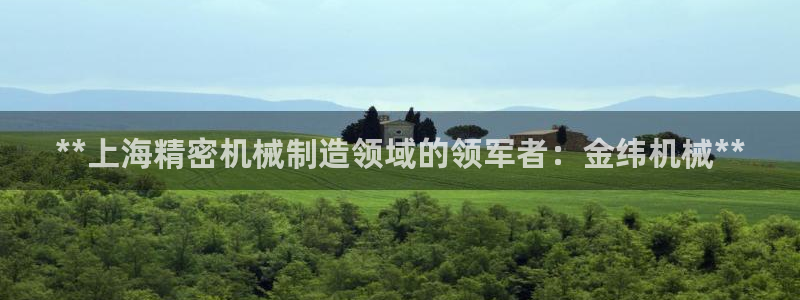 彩神v下载安装：**上海精密机械制造领域的领军者：金纬机械**