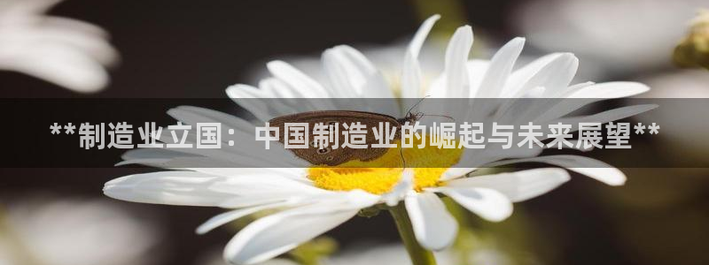 彩神vll购彩大厅大众：**制造业立国：中国制造业的崛起与未来展望**