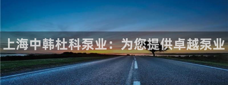 下载彩神乐发V1：上海中韩杜科泵业：为您提供卓越泵业