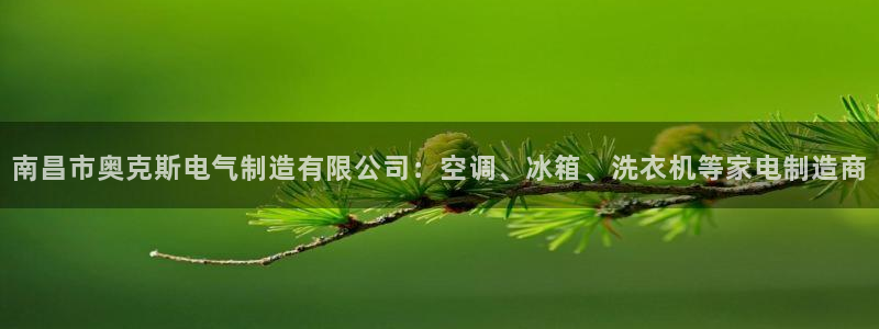 彩神vllⅰ购彩大厅：南昌市奥克斯电气制造有限公司：空调、冰箱、洗衣机等家电制造商